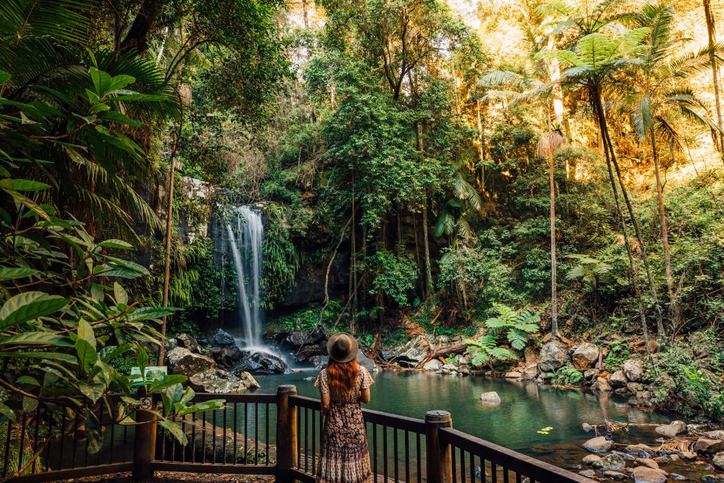 Tamborine Mountain: the one-hour escape